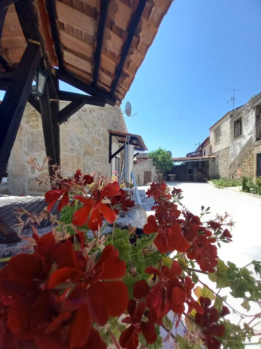 Quinta do Cruzeiro Mata (Fornos de Algodres) Exterior foto